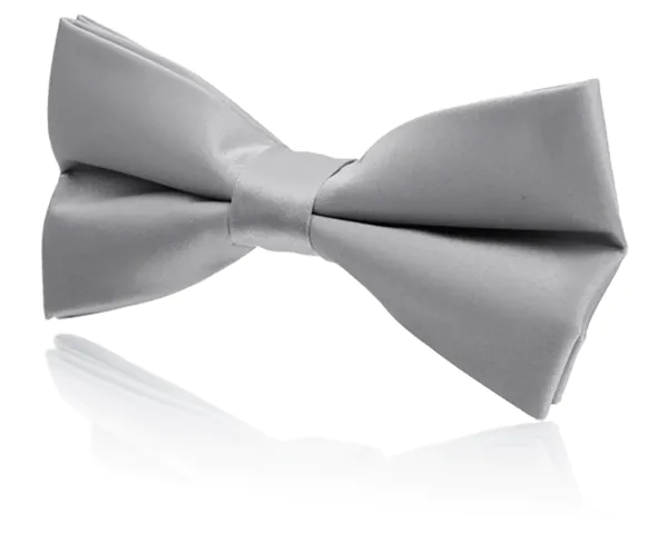 Set, Kummerbund und Fliege für Jungen, Silber - photo 1