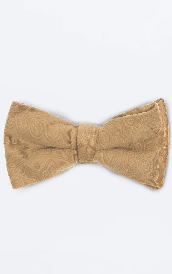 Dobell Samt Fliege, Gold mit Paisleymuster Dobell Samt Fliege, Gold mit Paisleymuster