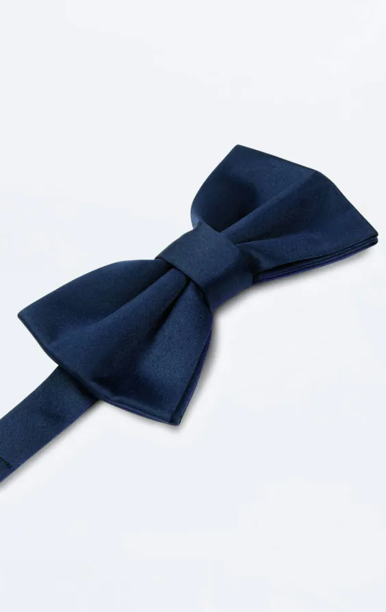 Marineblaue Fliege  - photo 1