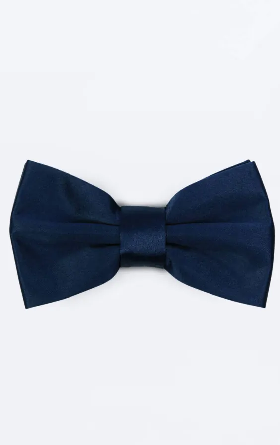 Marineblaue Fliege 