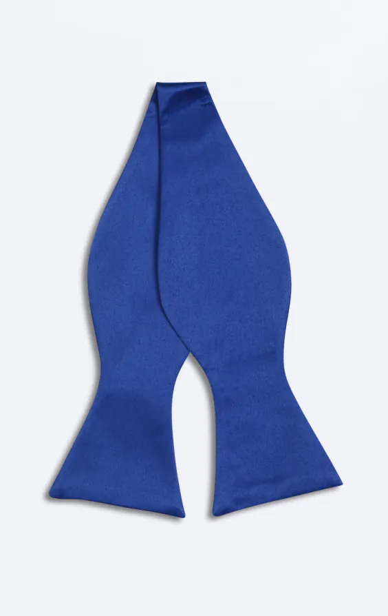 Königsblaue Fliege  - photo 2