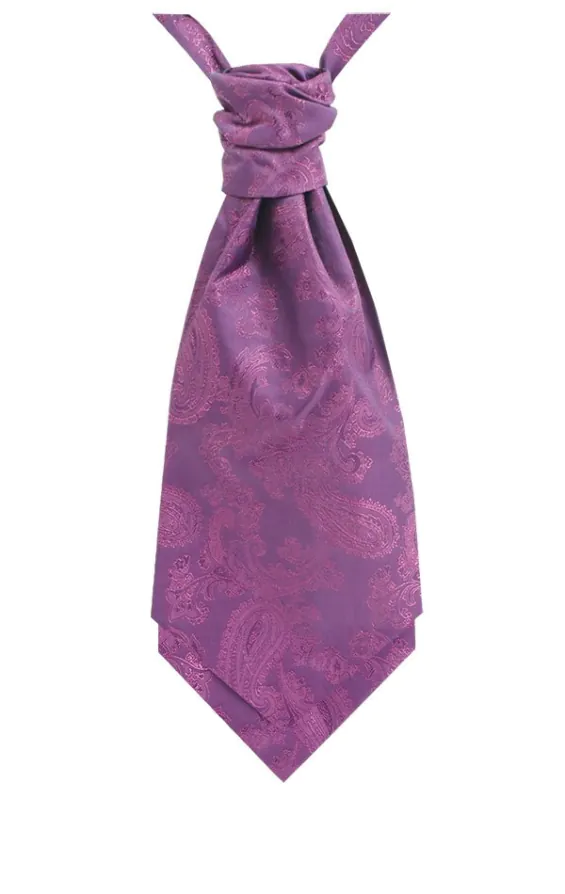 Dobell Plastron für Jungen, Paisley, Violett