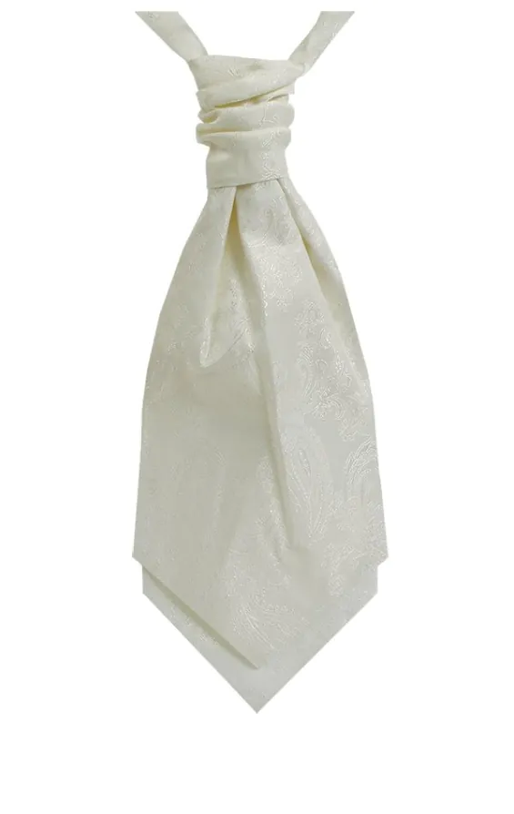 Dobell Plastron, Paisley, Elfenbein