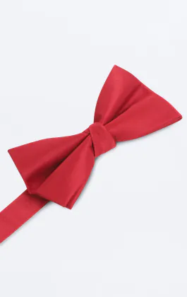 Rote Fliege 