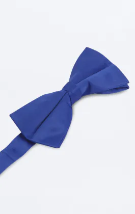Königsblaue Fliege