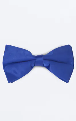 Königsblaue Fliege