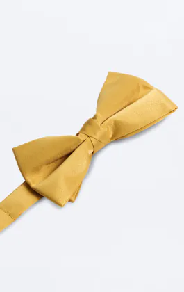 Goldfarbene Fliege, Vorgebunden