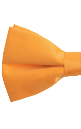 Orange Fliege
